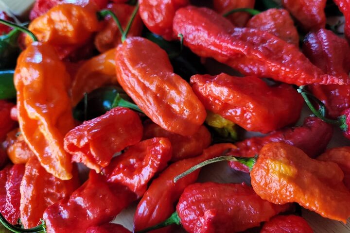 Can You Freeze Ghost Peppers?