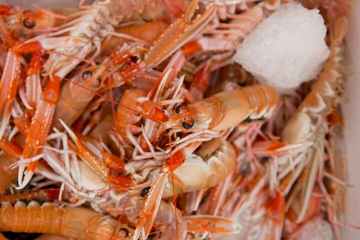 Can You Freeze Langoustines?