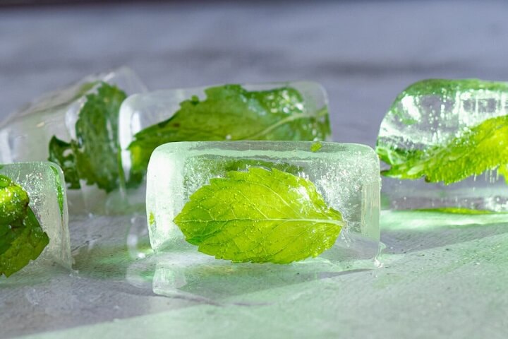 Can You Freeze Mint?
